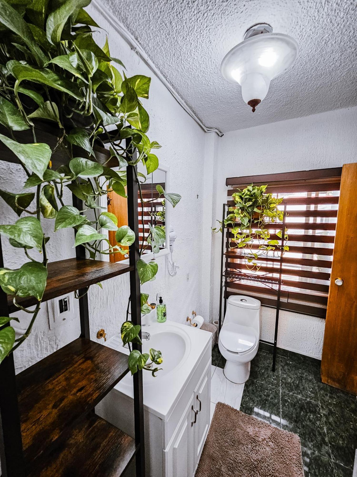 Habitacion Con Bano Privado B, Centro De Coyoacan Mexico City Exterior photo